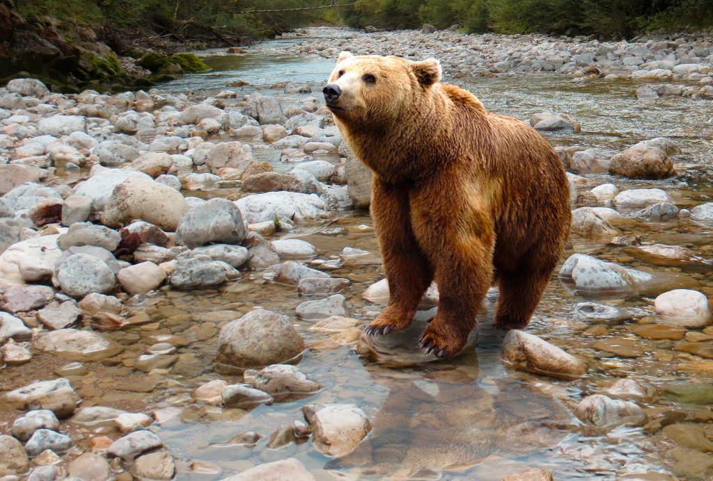 hiking in north america