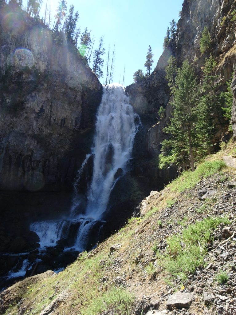 Wildlife of Yellowstone