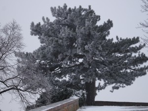 Mikulov in winter, Czech Republic